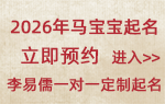2026马宝宝取名指南：丙午火马年出生，如何用名字调和 